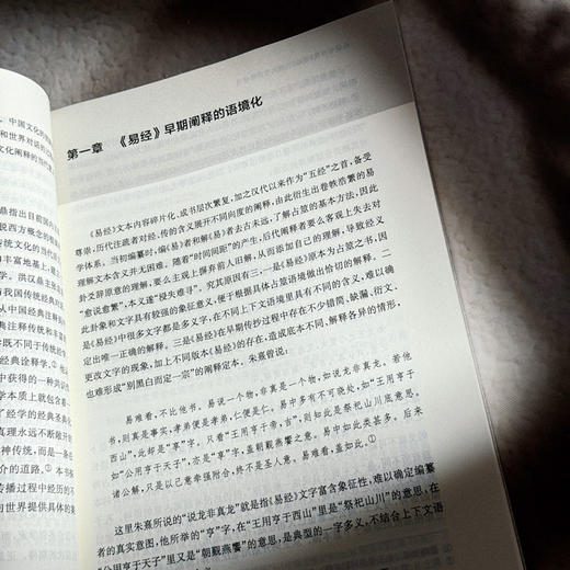 全球化时代《易经》的跨文化阐释研究 吴礼敬 商品图10