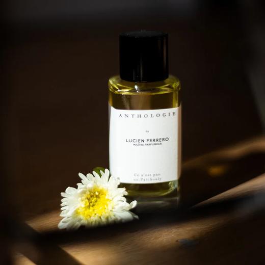 费雷罗选集 我不是广藿香 Anthologie by Lucien Ferrero Maitre Parfumeur Ce N'est Pas Un Patchouly 分装 商品图0