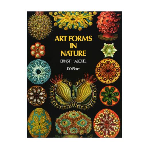 自然界的艺术形式 英文原版 Art Forms in Nature 恩斯特海克尔 科普读物 生物科学 英文版进口原版英语书籍 商品图1