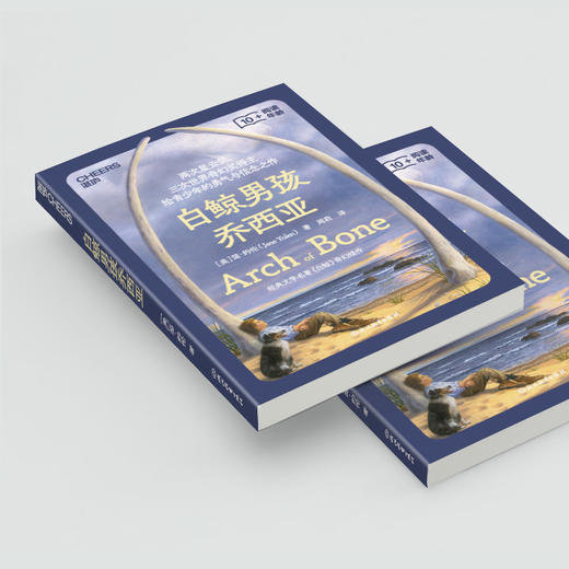 白鲸男孩乔西亚 给孩子的勇气与信念之书 商品图4