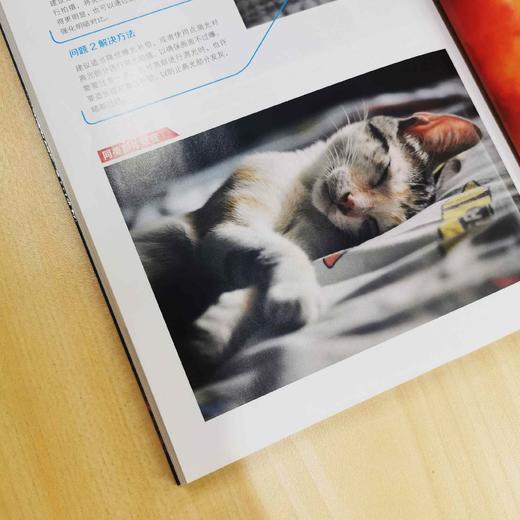 摄影作品点评140例：让你的照片更精彩 商品图1