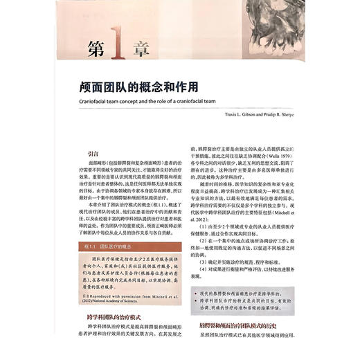 唇腭裂与颅面正畸学 王旭东 江凌勇 主译 全面介绍了现代正畸与正颌联合治疗颅面裂的理论体系及临床操作规范等上海科学技术出版社 商品图4