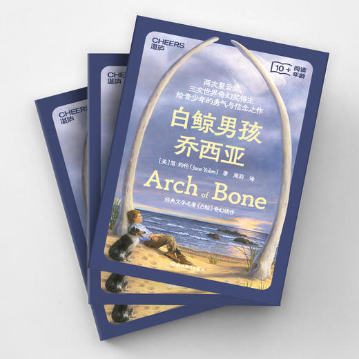 白鲸男孩乔西亚 给孩子的勇气与信念之书 商品图3