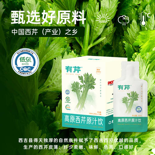 【西吉高原鲜芹从采摘到榨汁≤6小时】有芹 高原西芹原汁饮 富含芹菜素 清热解腻 30ml/袋 商品图2
