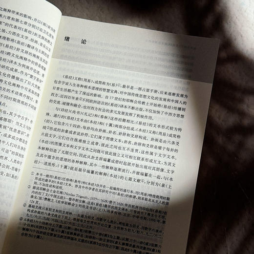 全球化时代《易经》的跨文化阐释研究 吴礼敬 商品图8