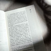全球化时代《易经》的跨文化阐释研究 吴礼敬 商品缩略图7