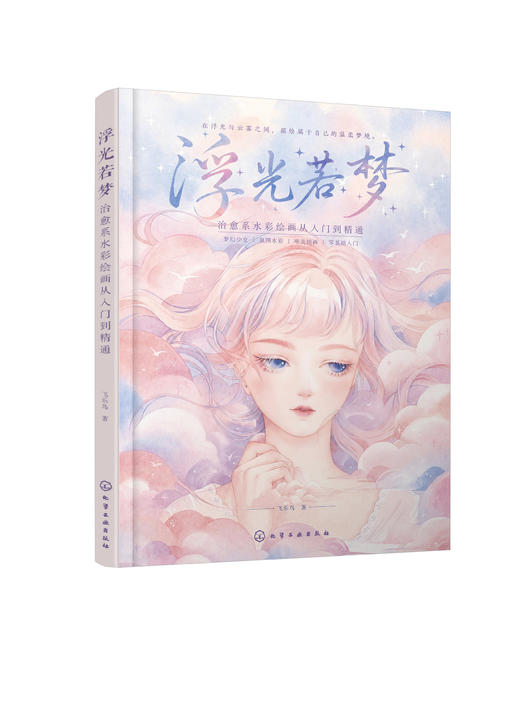 浮光若梦：治愈系水彩绘画从入门到精通 商品图5