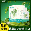 【西吉高原鲜芹从采摘到榨汁≤6小时】有芹 高原西芹原汁饮 富含芹菜素 清热解腻 30ml/袋 商品缩略图0