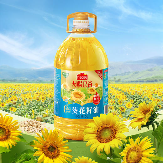 海天味业保证 葵花籽油5L物理压榨不含抗氧化剂 商品图0