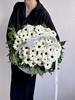 玉镜弗朗花10支 商品缩略图2