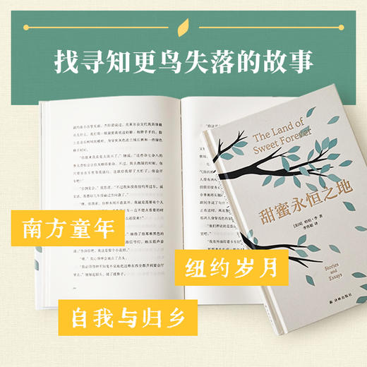 甜蜜永恒之地 商品图2
