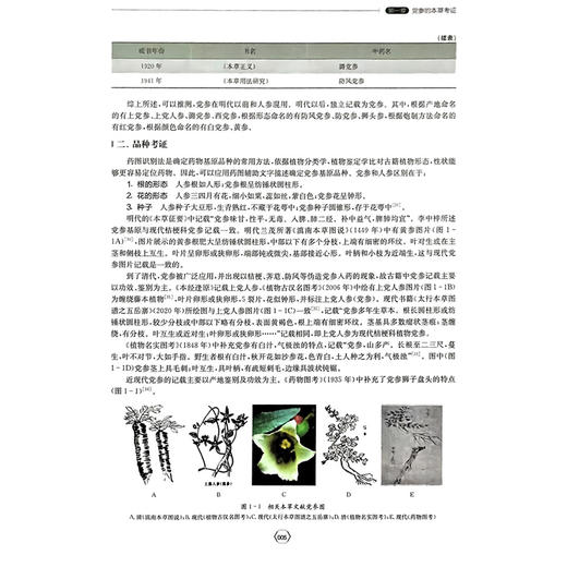 党参专论 张俊华 郑文科 主编 中国中药材大品种专论系列丛书  系统介绍了党参的功效记载、临床应用等内容 上海科学技术出版社 商品图4