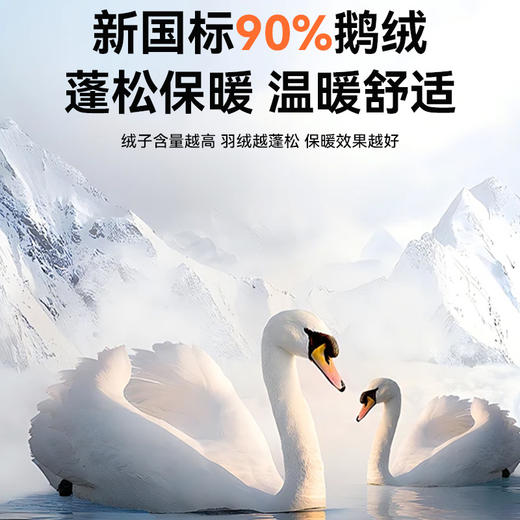 【反季特惠】【三合一夹克 90鹅绒填充 外层含绵羊毛】COMBO康博 三合一可拆卸绵羊毛鹅绒夹克KBKSS968241 商品图1