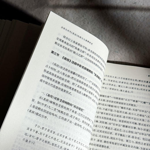 全球化时代《易经》的跨文化阐释研究 吴礼敬 商品图11