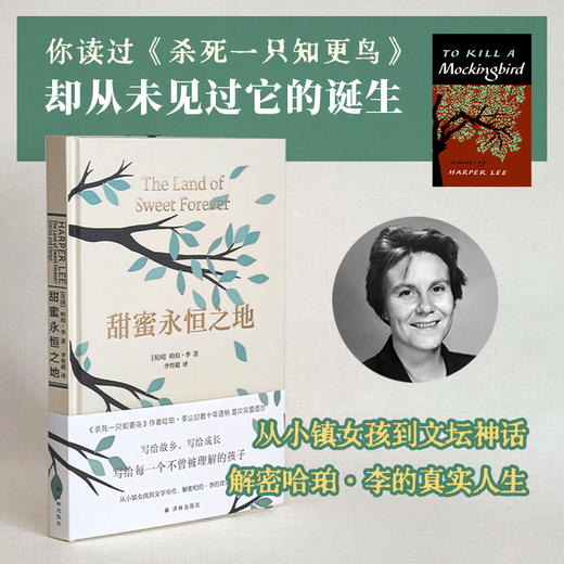 甜蜜永恒之地 商品图1