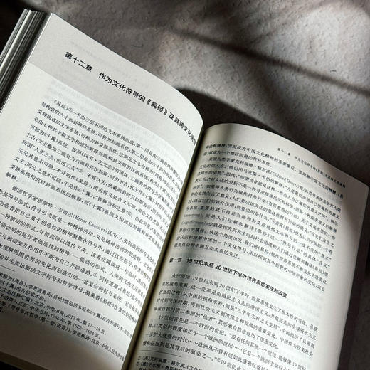 全球化时代《易经》的跨文化阐释研究 吴礼敬 商品图13