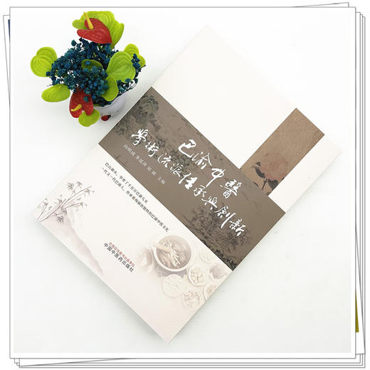 巴渝中医学术流派传承与创新 向明成 李延萍 吴斌 系统介绍了30个流派的传承脉络、学术特色、医家代表等内容 中国中医药出版社 商品图2