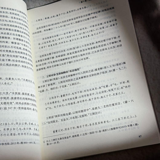 全球化时代《易经》的跨文化阐释研究 吴礼敬 商品图12