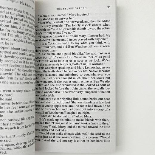 秘密花园英语原版 英文原版小说 The Secret Garden 儿童文学经典名著 进口英语书籍 可搭夏洛特的网查理和巧克力工厂神奇树屋绘本 商品图2