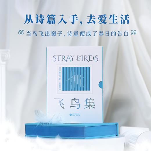 【限时团购】泰戈尔《飞鸟集》《新月集》口袋本诗集 精装刷边版本2本套 商品图1