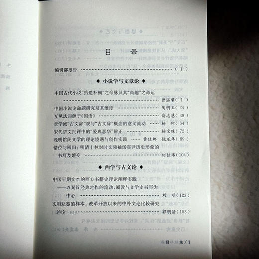 文统与诗脉 古代文学理论研究第六十二辑 商品图7