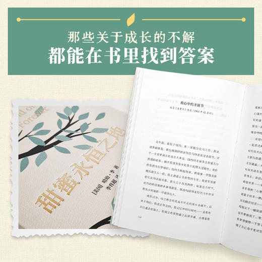 甜蜜永恒之地 商品图4