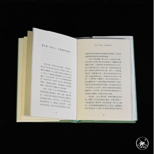 七宗罪：嫉妒（满格版） 商品图4