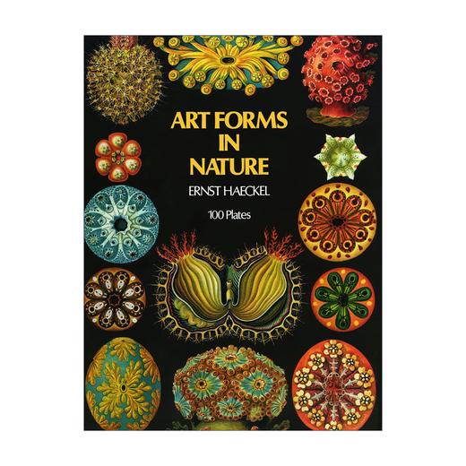 自然界的艺术形式 英文原版 Art Forms in Nature 恩斯特海克尔 科普读物 生物科学 英文版进口原版英语书籍 商品图0