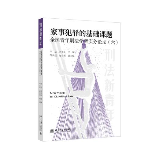 家事犯罪的基础课题:全国青年刑法学者实务论坛（六）  车浩 刘士心 主编   北京大学出版社 商品图0
