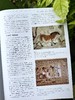《世界插画艺术史》典藏版 ｜ 足不出户，一览3万年艺术史！培养审美主见，成为ai时代不可替代的自己！ 商品缩略图2
