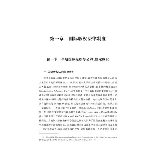 国际知识产权保护法——基于知识产权类型化的国际法律制度比较研究/项安安/浙江大学出版社 商品图1