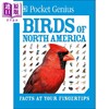 预售 【中商原版】DK口袋天才系列 北美鸟类 Pocket Genius Birds of North America 英文原版 DK 北美鸟类爱好者宝典 商品缩略图0