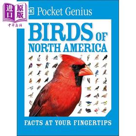 预售 【中商原版】DK口袋天才系列 北美鸟类 Pocket Genius Birds of North America 英文原版 DK 北美鸟类爱好者宝典
