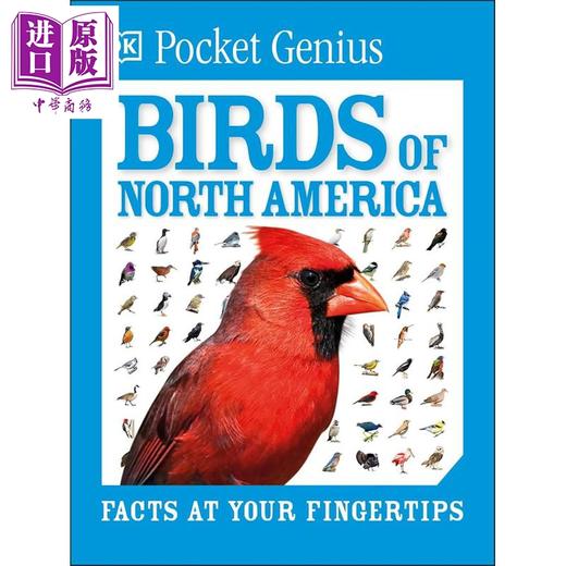 预售 【中商原版】DK口袋天才系列 北美鸟类 Pocket Genius Birds of North America 英文原版 DK 北美鸟类爱好者宝典 商品图0