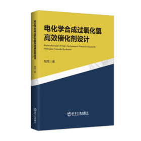 电化学合成过氧化氢高效催化剂设计（一般工业技术）