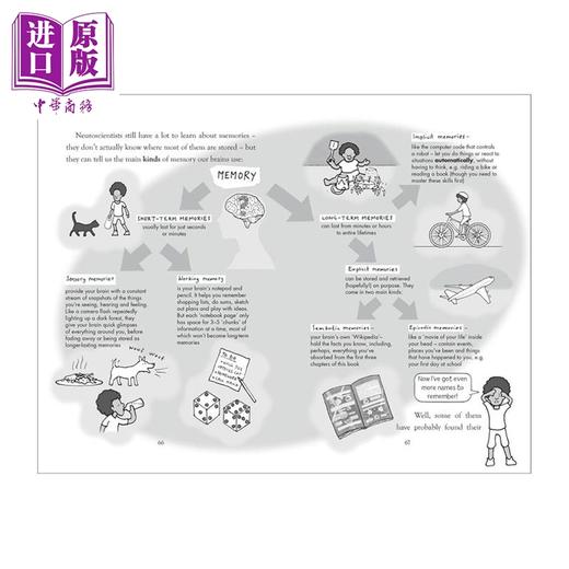 预售 【中商原版】爆炸百科系列 大脑 英文原版 百科全书 生物百科 Explodapedia The Brain 自然科学  商品图1