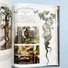 哈利波特电影回顾设定集5 伴生物 植物和变形物 英文原版 Harry Potter The Film Vault 英文版 进口原版英语书籍 Titan Books 商品缩略图3