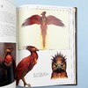 哈利波特电影回顾设定集5 伴生物 植物和变形物 英文原版 Harry Potter The Film Vault 英文版 进口原版英语书籍 Titan Books 商品缩略图4