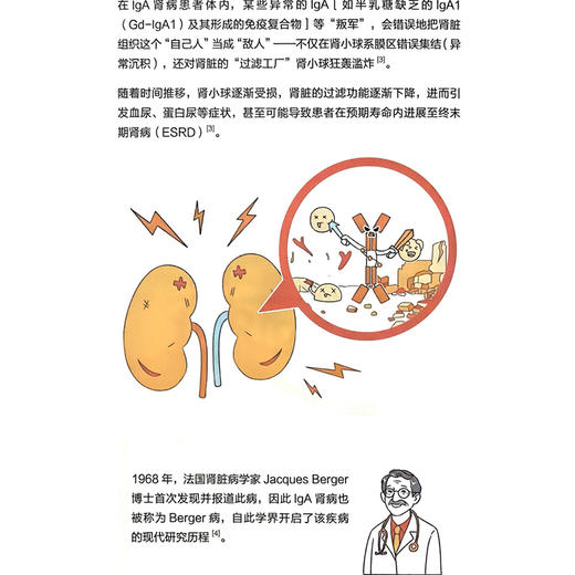 IGA肾病100问 丁小强 张宏 系统涵盖基础知识 就诊指南 治疗方式 新型药物 合并症管理及日常生活指导六大板块 上海科学技术出版社 商品图4
