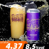 费登斯 火花 473ml 商品缩略图0