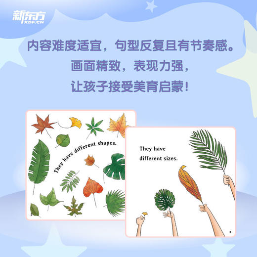 【新东方】彩虹糖幼儿英语启蒙绘本：基础级/提高级 点读笔，专为中国孩子研发的英语启蒙绘本，附导读视频、跟读音频及亲子阅读指导 商品图9