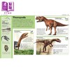预售 【中商原版】Pocket Genius Dinosaurs Facts at Your Fingertips 英文原版 口袋天才 恐龙 指尖上的事实 DK 商品缩略图2