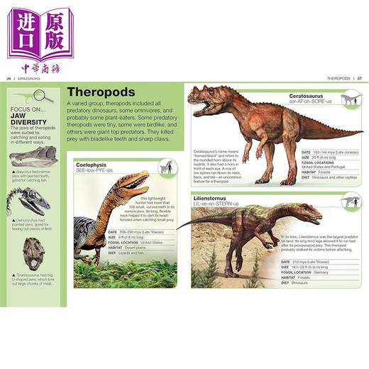 预售 【中商原版】Pocket Genius Dinosaurs Facts at Your Fingertips 英文原版 口袋天才 恐龙 指尖上的事实 DK 商品图2