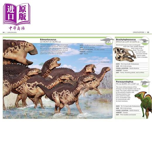 预售 【中商原版】Pocket Genius Dinosaurs Facts at Your Fingertips 英文原版 口袋天才 恐龙 指尖上的事实 DK 商品图4