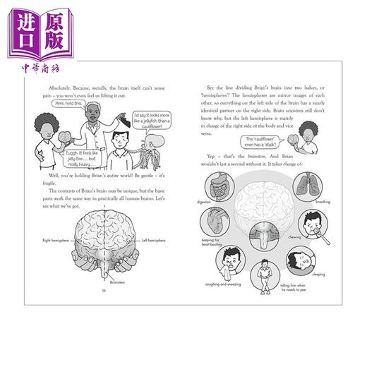 预售 【中商原版】爆炸百科系列 大脑 英文原版 百科全书 生物百科 Explodapedia The Brain 自然科学  商品图3