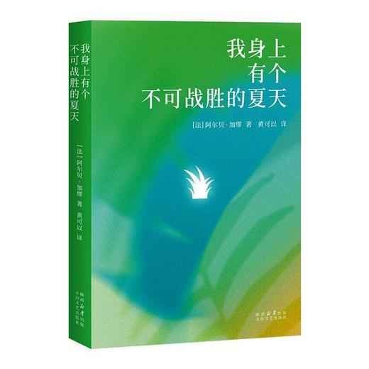 我身上有个不可战胜的夏天 商品图0