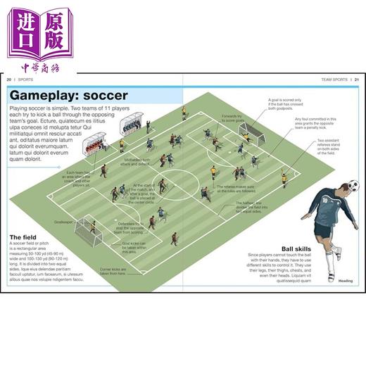 预售 【中商原版】DK口袋天才系列 运动 Pocket Genius Sports Facts at Your Fingertips Revised 英文原版 DK 商品图2