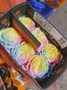 厄瓜多尔进口染色玫瑰花velvet sugar棉花糖天鹅绒10支 商品缩略图0