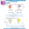 【中商原版】新加坡数学童书含题解 STRETCH Mathematics 小学高阶延伸应用题3 商品缩略图3