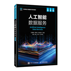 人工智能数据服务:微课版